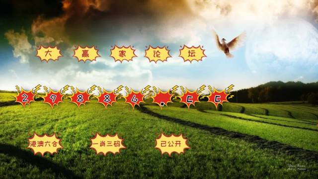 4949澳门彩开奖结果,专业调查具体解析_增强版52.500