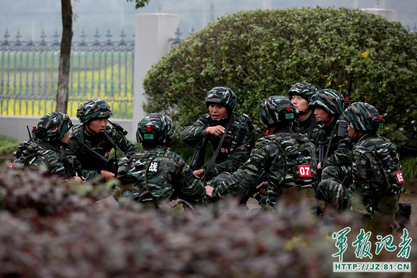浙江金华武警最新动态更新，最新消息汇集
