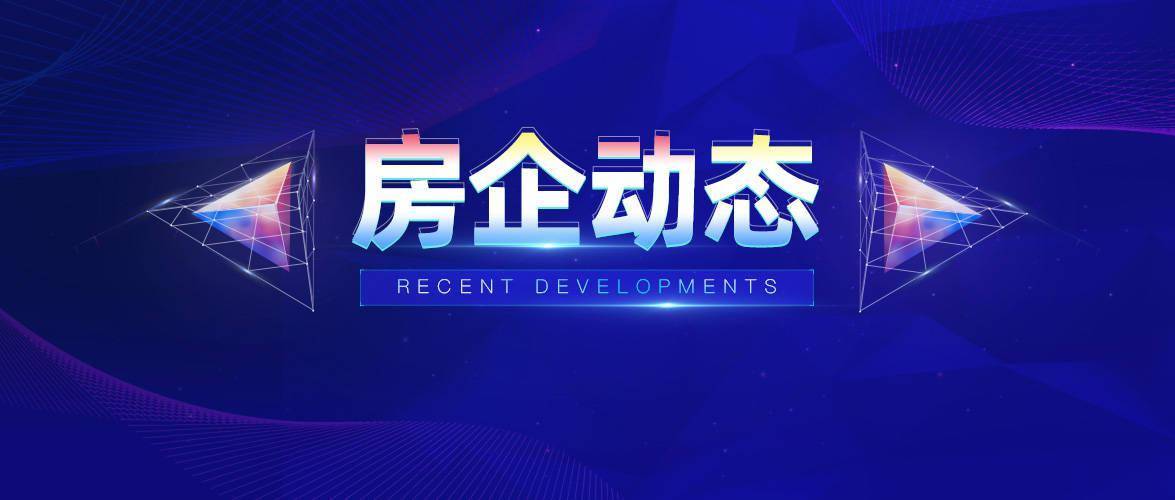国安科技控股最新招聘，小巷中的隐藏宝藏，探索无限机遇！