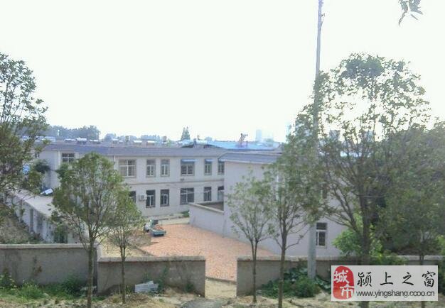 颖上房屋出租最新信息，与自然和谐共舞，寻找内心平和的乐土