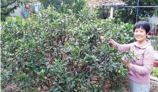 柯桥和谐家园最新房价信息与自然美景的探索之旅