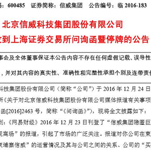 网易信威集团引领行业创新，塑造未来科技巨头新动态