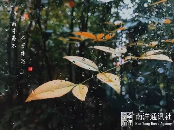 科技之星，明星煌煌引领未来之光
