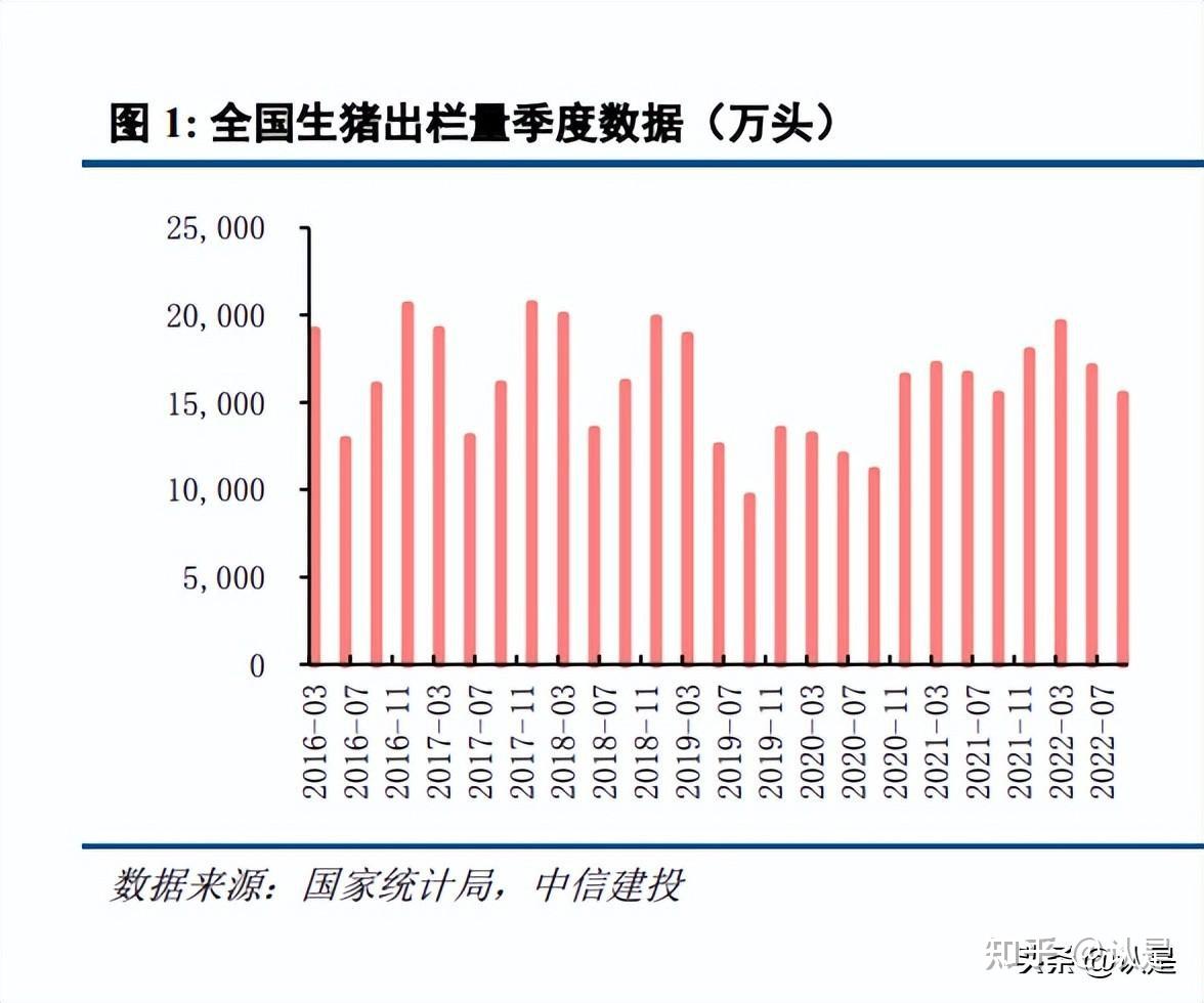 生猪市场行情深度解析与趋势展望