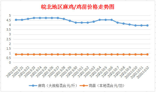皖北麻鸡最新行情，揭示市场走势与友情的小确幸